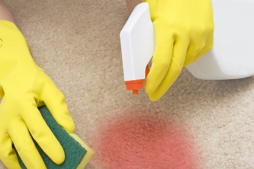 Deptford Carpet Cleaners introducing professional carpet care services