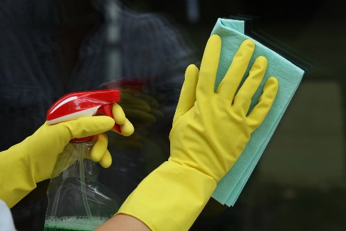 Professional pet stain odour removal in Deptford for carpets
