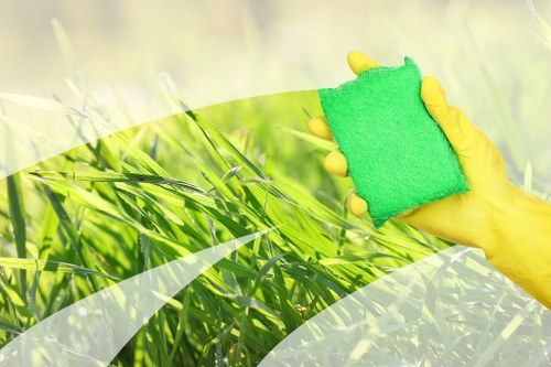 Professional carpet cleaning in Deptford living room