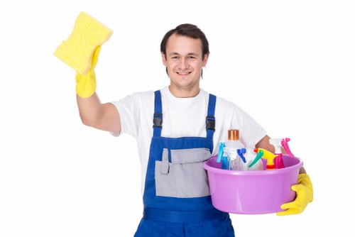 Illustration of cookie settings for a carpet cleaning website
