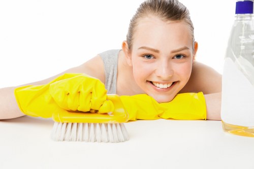 Example carpet cleaning scenarios in Deptford properties