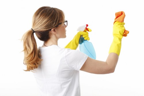 Deep cleaning and stain removal in Deptford properties