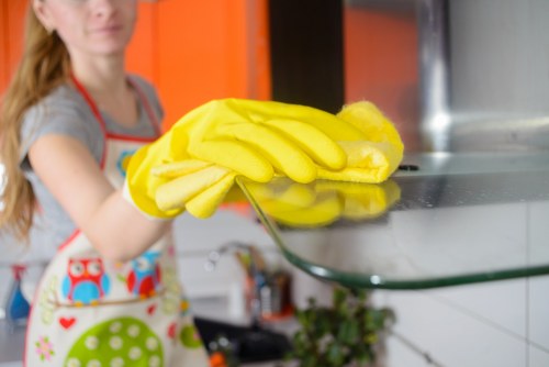 Professional mattress cleaning removing dust mites and allergens in Deptford