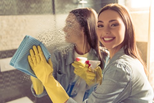 Professional carpet steam cleaning removing stains and dirt
