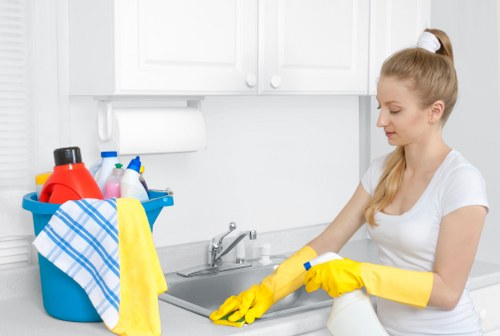 Deep cleaning a pet stain and odour in Deptford home