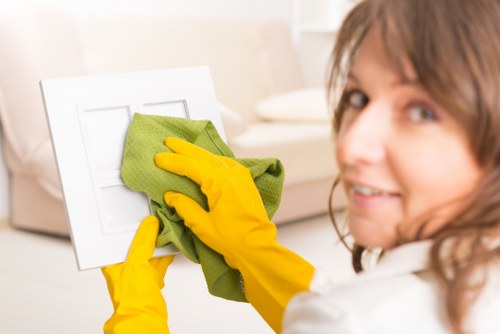 Stain removal and carpet care in Deptford property