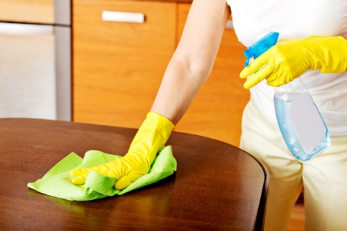 Deep carpet cleaning service for a Deptford home